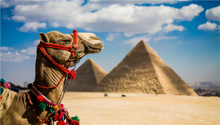 西奈空难是否会影响埃及旅游业|界面新闻 · 商