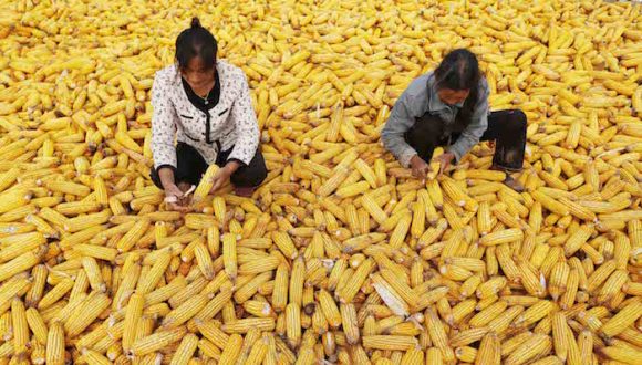 2015年中国农民人均收入已破万 增幅连续第6