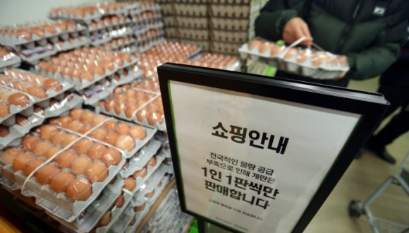 禽流感导致鸡蛋价格飙升50% 韩国实施零关税