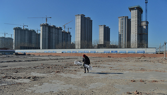 常住人口登记卡_2011北京常住人口