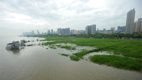 长江流域平均降水量达到334毫米居历史同期高位