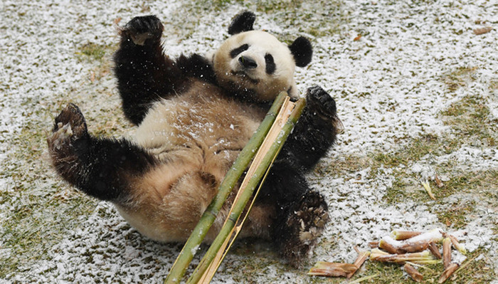 【图集】长春迎来2017年冬季首场降雪