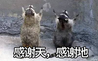 【界面预言家】2018年貘将成为动物界最大赢家