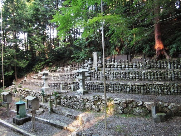 滋县人口