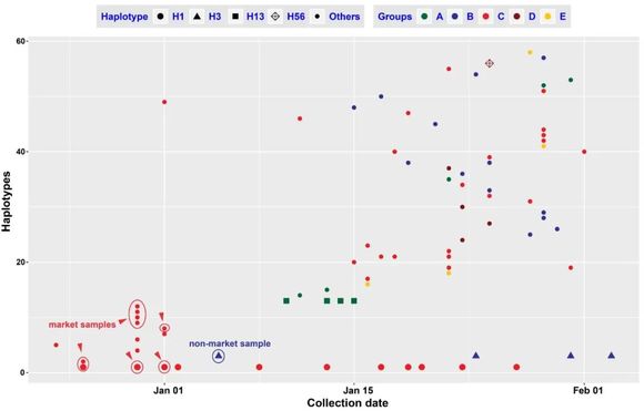中科院最新研究：华南海鲜市场不是病毒始发地