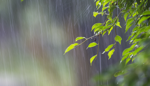 北京今天最高气温22℃,早晨南部地区有小雨