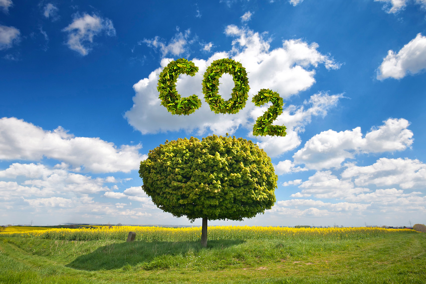 企业碳排放量到底有多少 上海浦东先行先试上线智慧能源 双碳 云平台