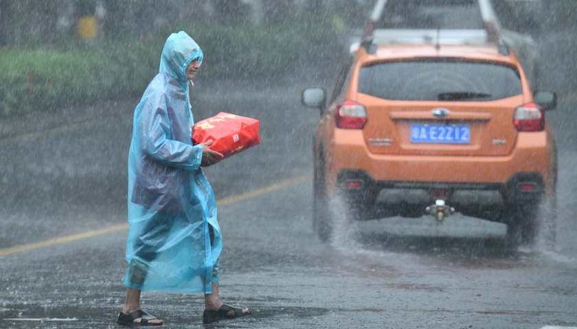 直通部委｜国家防总对海南广东广西启动三级应急响应 全国收购夏粮小麦超1700万吨
