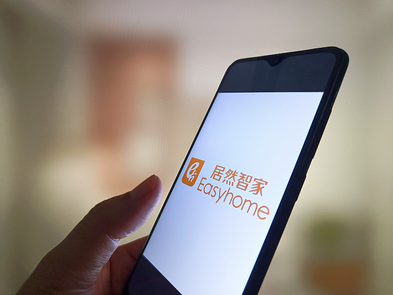 杨芳成居然智家实际控制人，系已故创始人汪林朋配偶
