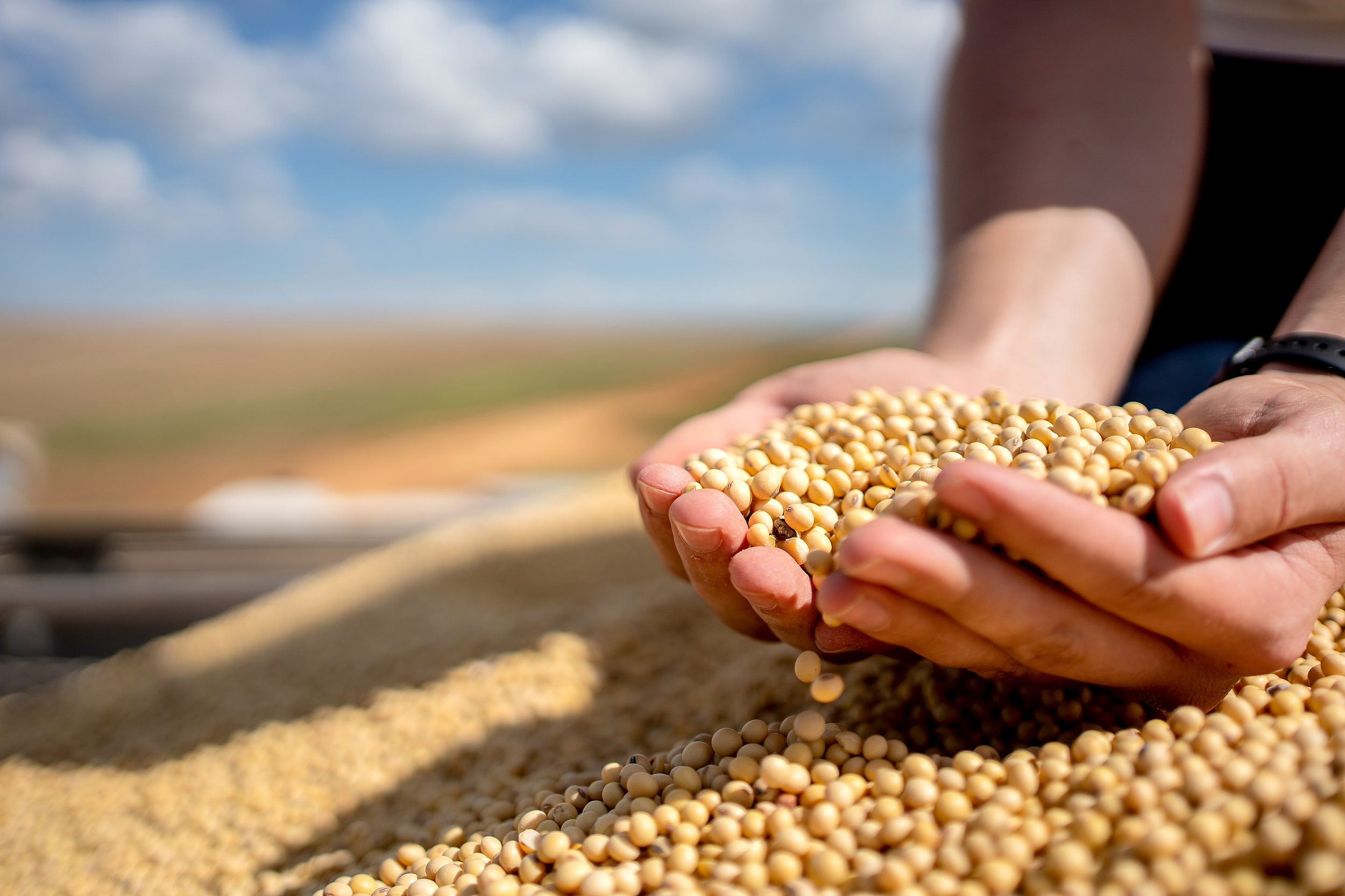 三艘货轮已驶往美国码头，将装载对华出口的大豆和高粱