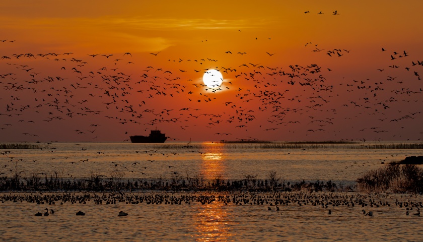 地方新闻精选 | 鄱阳湖流域三人毒杀候鸟被抓 江苏溧阳通报演员名单照搬百度文库