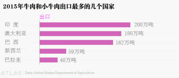 印度关于牛的经济学|界面新闻天下