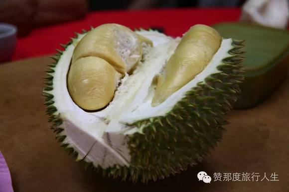 榴莲飘飘在魔都