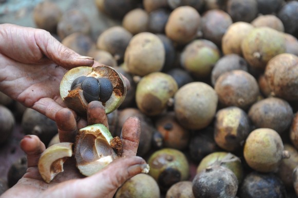 茶油行业的背后:新农业面临的困境和漩涡|界面新闻JMedia