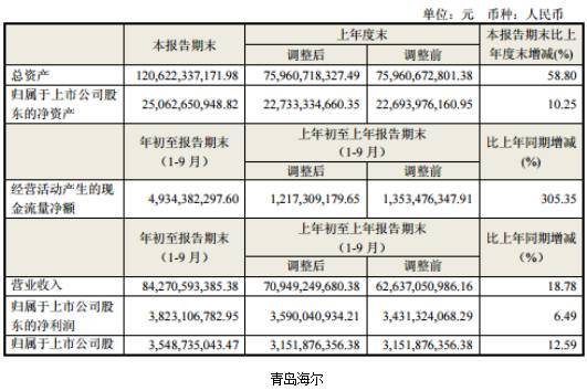 海尔冰箱_2018年 海尔 营业收入(2)