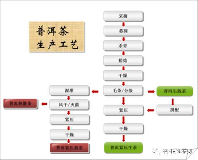 采茶,杀青,揉捻,干燥,筛选分类,蒸压成型,干燥,包装 熟茶制作工艺流程