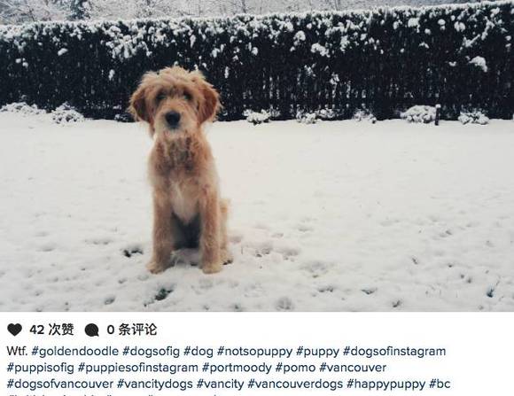 加拿大各省近日都是啥温度?好像某座城市迈入