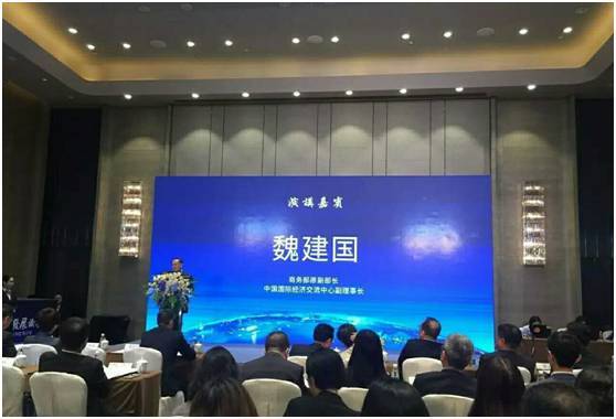 南沙将成为粤港澳大湾区的核心支点|界面新闻