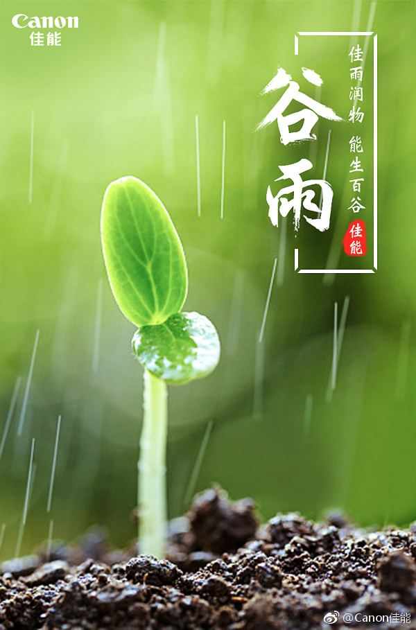 这样美丽的季节,当然要拍照咯 佳能#谷雨"诗写梅花月,茶煎谷雨春"