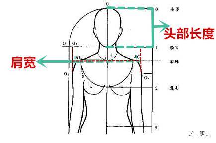 有些结论说标准的肩部宽度应该是自己头部长度的两倍,头肩比例也就是