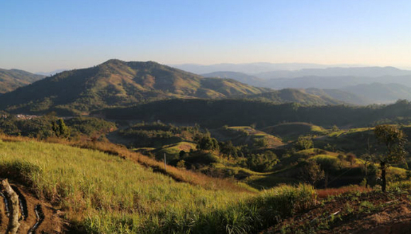 茶产区故事(一)-- 那卡，深山中的“遗世明珠”|界面新闻