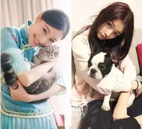 在全网黑的道上一路驰骋…… 当时和倪妮公布恋情没多久的冯绍峰不知