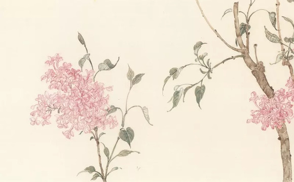 花香清韵:高强写生没骨画系列品鉴