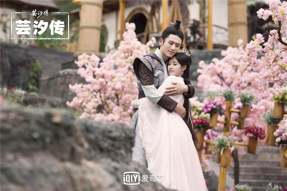 改编自穿越架空小说《天才小毒妃》,《芸汐传》主要讲述女主角韩芸汐