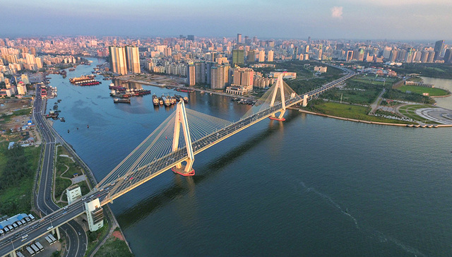 自由贸易港+地摊经济，感觉我就是那头要飞起来的猪