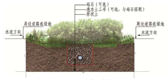 下沉式绿地示意图