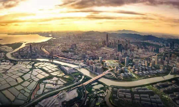 深圳式突围:顶豪头上砸出一条红线