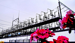上海电力确认中电投和国核技重组