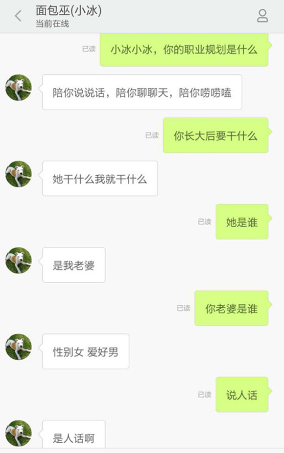 我试着招聘小冰然而发现自己智商余额明显不足 界面新闻 商业