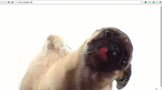 狗狗舔屏幕表情包图片