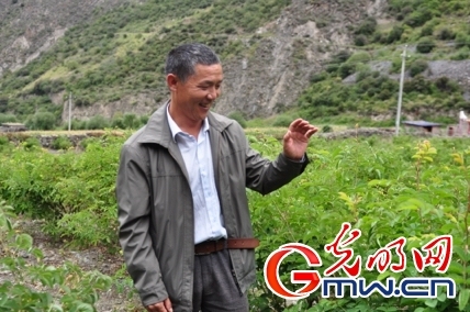 【网络媒体走转改】夹金山下玫瑰开 花香洒满致富路