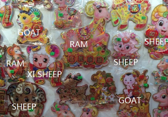 什么羊都有啊，不仅有山羊、绵阳、大角羊，还有一种叫“xi yangyang” 。