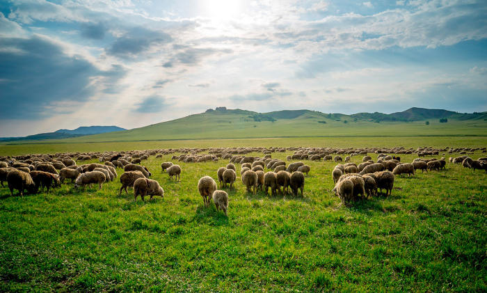 144394_1402133510.jpg?x-oss-process=style/w7