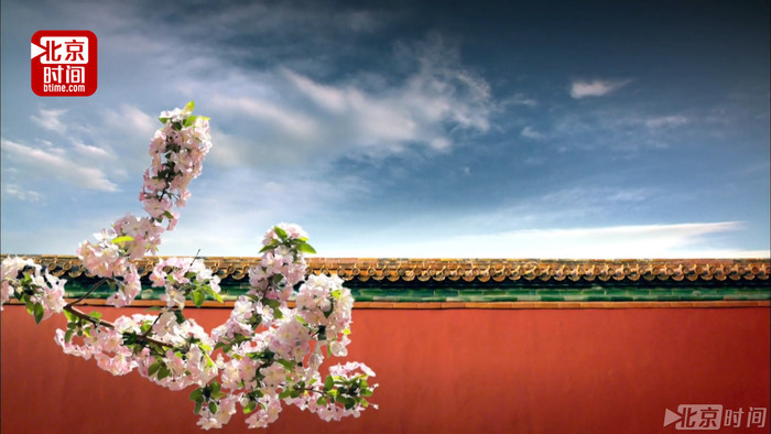 春风十里 不如红墙下的你