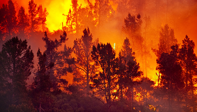 四川凉山州木里县森林火灾火场基本得到控制