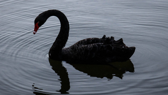 为大股东违规担保戴帽后,ST刚泰控股权又面