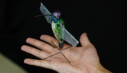 【工业之美】仅重12克、飞行可悬停、翅膀能辨路，这是目前最逼真的蜂鸟机器人
