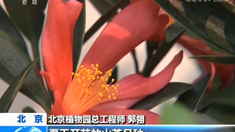 魅力世园会：中国馆大规模换展 珍稀植物亮相