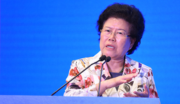 【专访】中国国际经济交流中心总经济师陈文玲：中国经济韧性的六大来源
