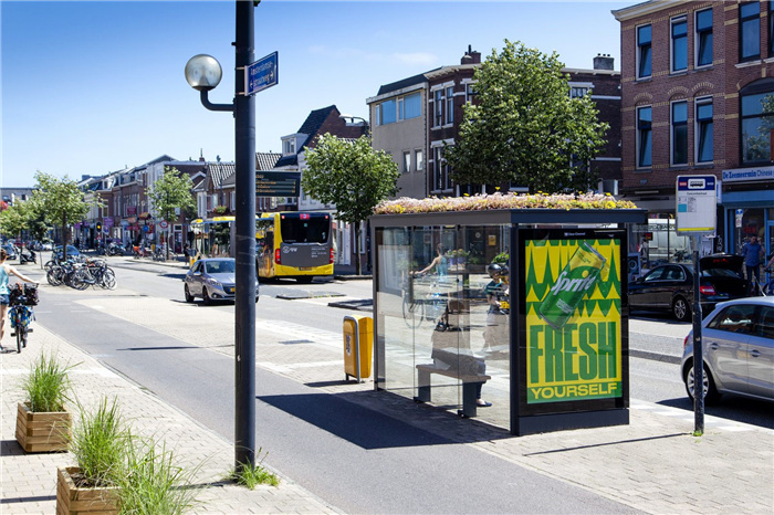 358种蜜蜂超一半成为濒危物种 荷兰将300多个公交站改造成了 蜜蜂车站 界面新闻