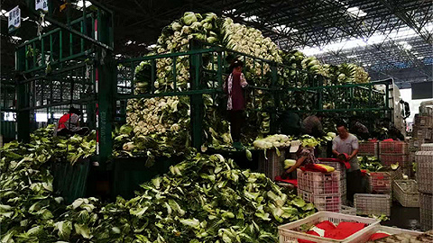 “蔬菜之乡”寿光遭台风侵袭后菜价平稳，业界预期对后市影响不大