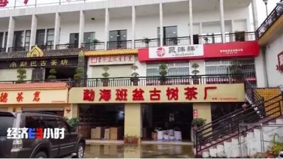 生态茶园