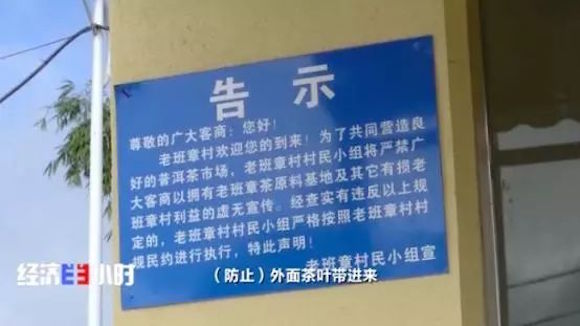 生态茶园