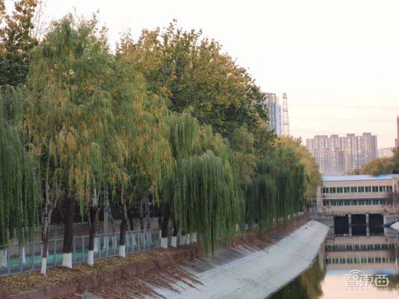 小米1亿像素手机拍照体验,从微距拍到超广角,效果到底如何?