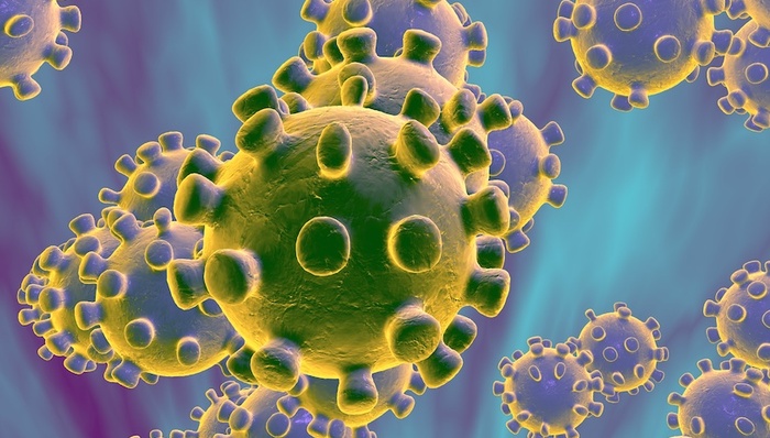 俄罗斯确诊两例新型冠状病毒感染肺炎病例