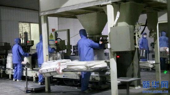 呼伦贝尔阜丰公司包装车间的工人正在流水线上作业。新华网郝芳芳摄